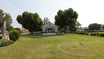 Enlarge photo 81