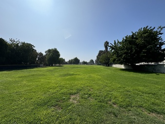 Enlarge photo 208