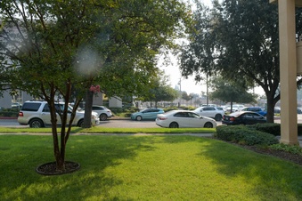 Enlarge photo 7