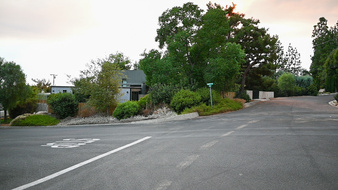 Enlarge photo 43