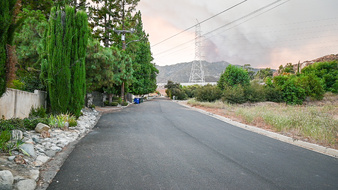 Enlarge photo 44