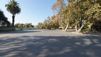 Enlarge photo 43