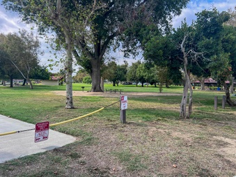 Park 