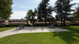 Enlarge photo 37
