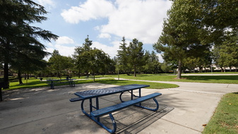 Enlarge photo 43