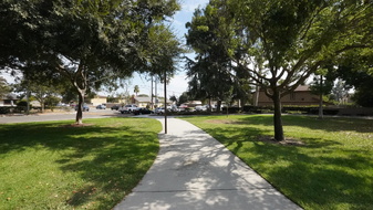 Enlarge photo 49