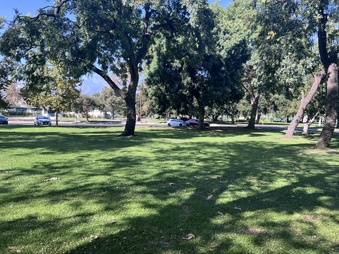 Enlarge photo 10