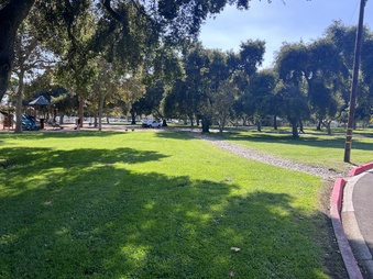 Enlarge photo 17