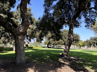 Enlarge photo 29