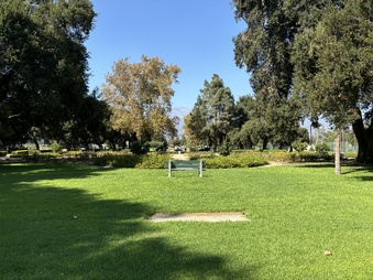 Enlarge photo 30