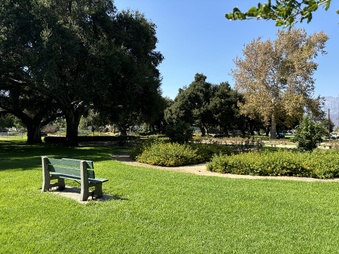 Enlarge photo 28