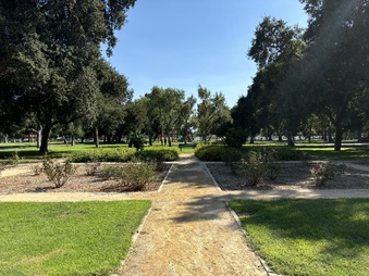 Enlarge photo 27