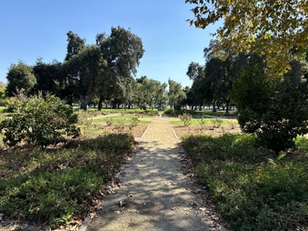 Enlarge photo 24