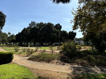 Enlarge photo 23