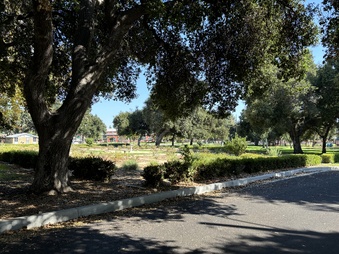 Enlarge photo 22
