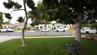 Enlarge photo 7