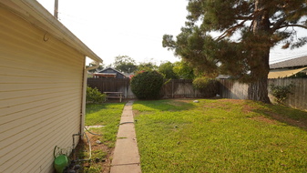 Enlarge photo 95