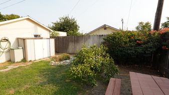 Enlarge photo 98
