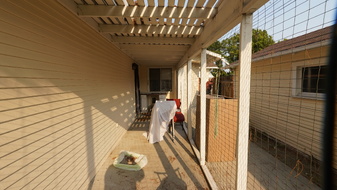 Enlarge photo 107