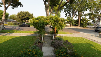 Enlarge photo 7