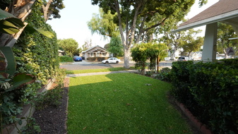 Enlarge photo 117