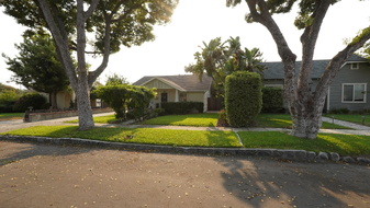 Enlarge photo 118