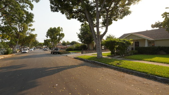 Enlarge photo 120