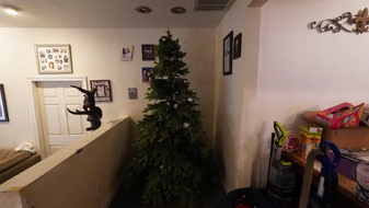 Enlarge photo 16