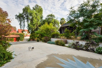 Enlarge photo 42