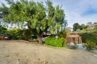 Enlarge photo 49