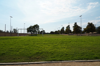 Enlarge photo 80