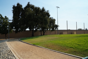 Enlarge photo 81