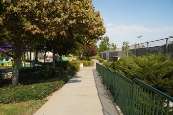 Enlarge photo 83