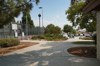 Enlarge photo 38
