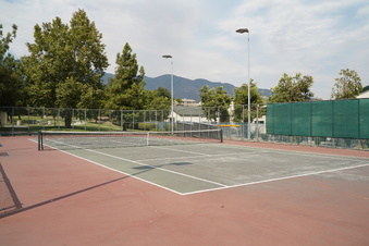Enlarge photo 50