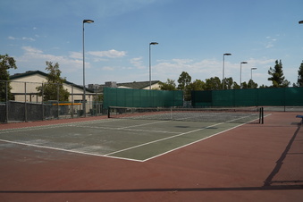 Enlarge photo 61