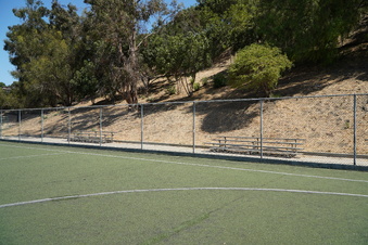 Enlarge photo 61