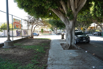 Enlarge photo 12