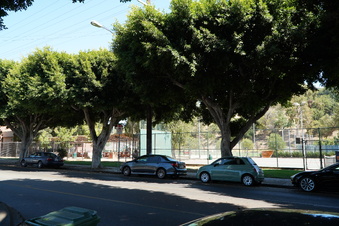 Enlarge photo 7