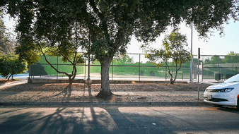 Enlarge photo 6