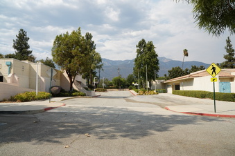 Enlarge photo 73
