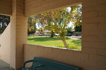 Enlarge photo 63