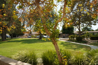 Enlarge photo 90