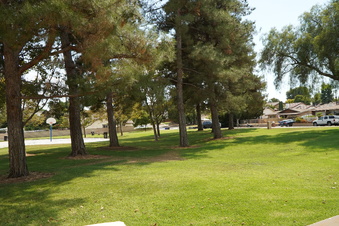 Enlarge photo 91