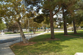 Enlarge photo 92