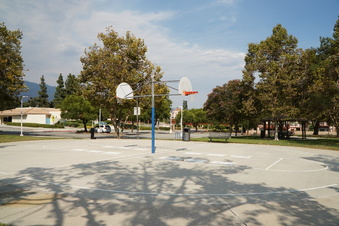Enlarge photo 99