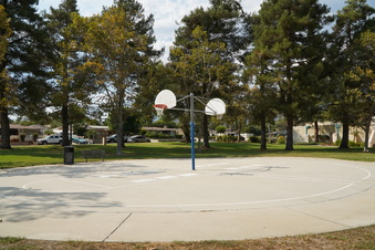 Enlarge photo 100