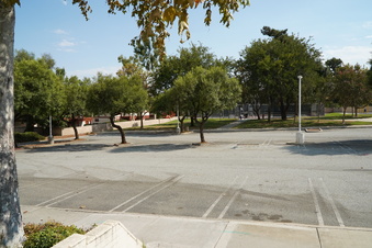 Enlarge photo 77