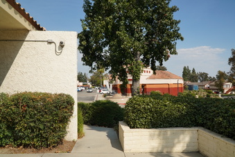 Enlarge photo 81
