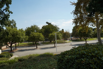 Enlarge photo 79